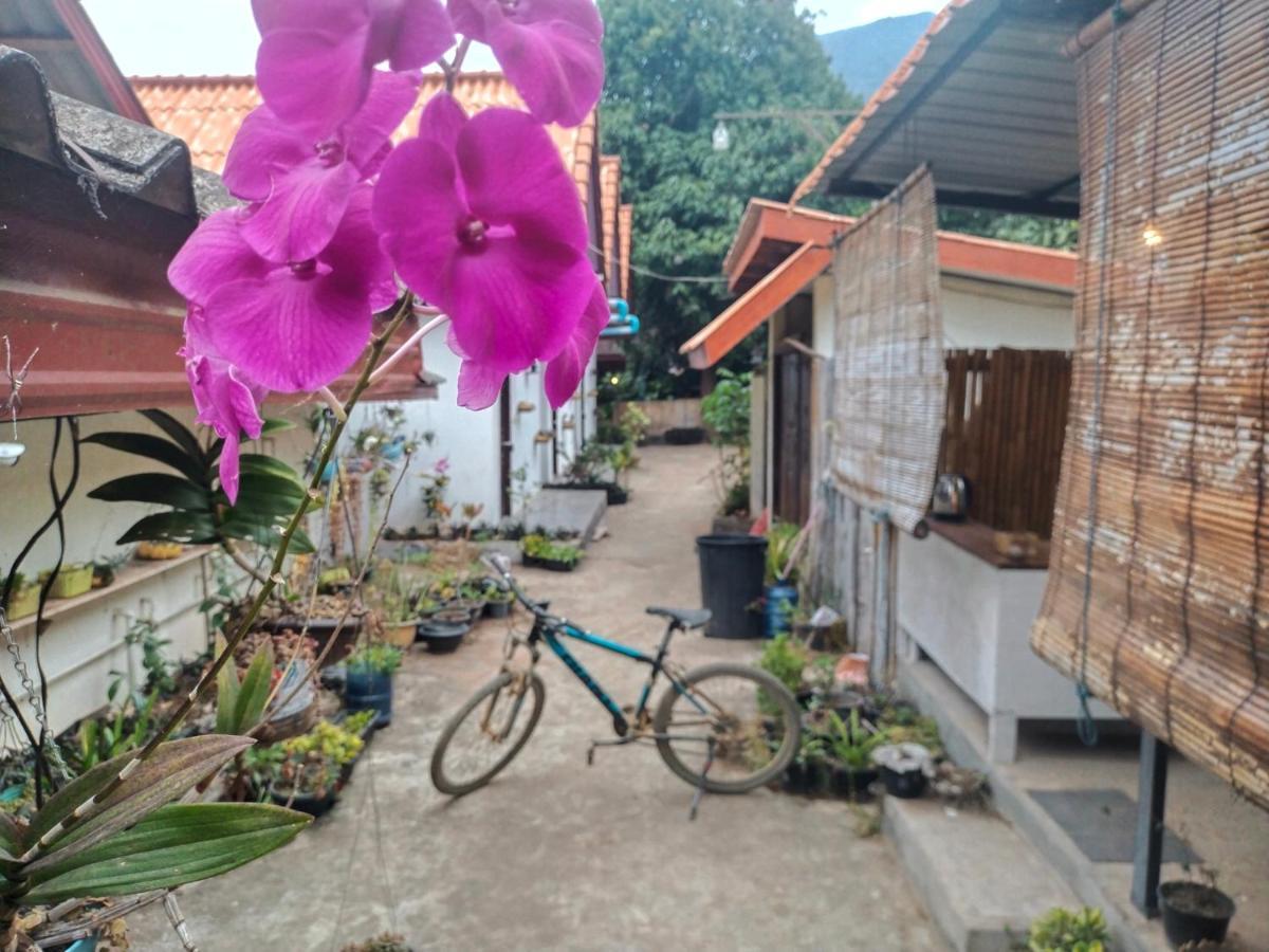 Pdv Guesthouse Muang Ngoi Dış mekan fotoğraf